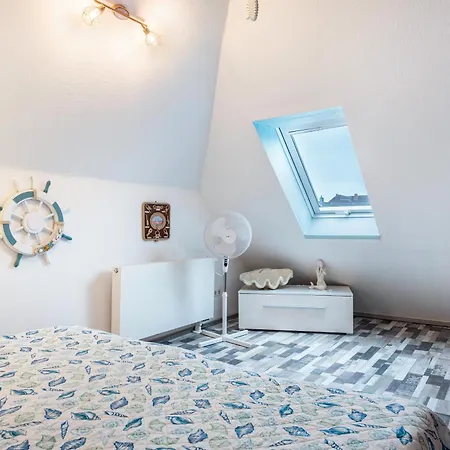 Albatros Steinhude Wunstorf