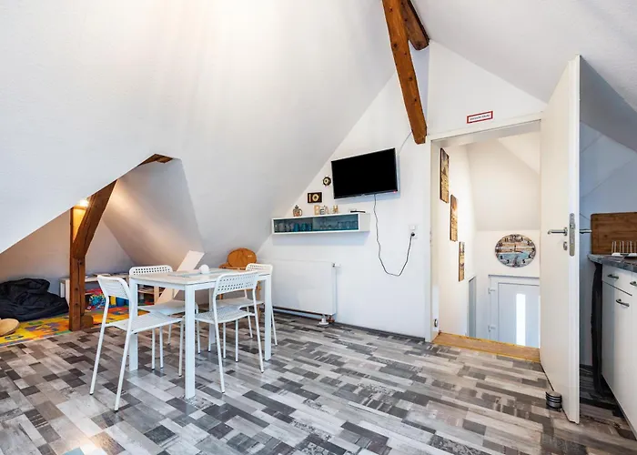 Albatros Steinhude Apartment